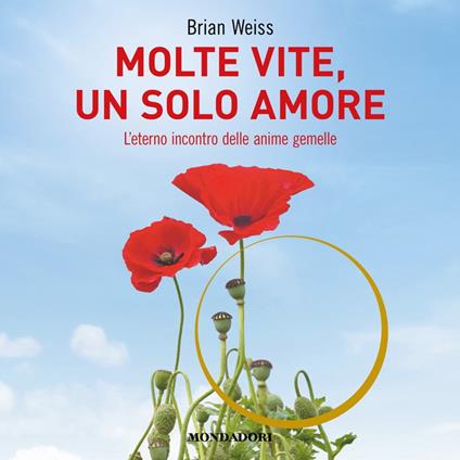 Molte vite, un solo amore