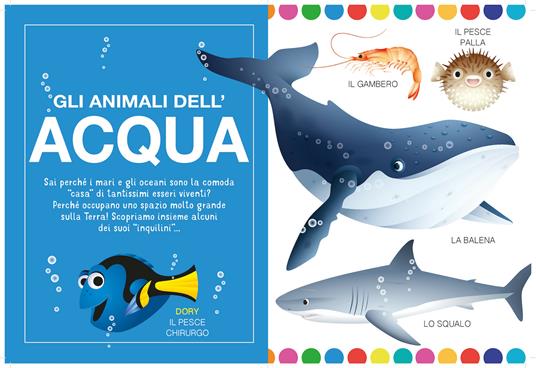 Animali nei loro ambienti. Disney baby. Ediz. a colori - Libro - Disney  Libri - Baby scoperte