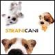 Strani cani. Ediz. illustrata - copertina