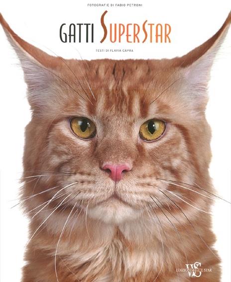 Gatti superstar. Ediz. illustrata - Flavia Capra,Fabio Petroni - copertina