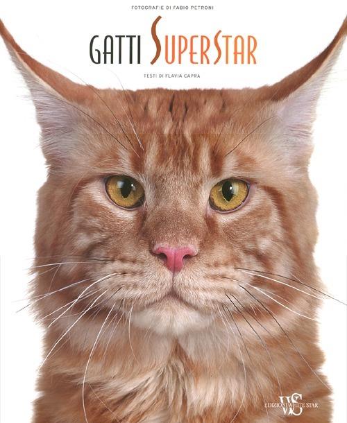 Gatti superstar. Ediz. illustrata - Flavia Capra,Fabio Petroni - copertina