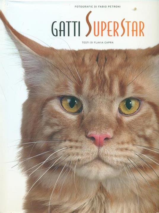 Gatti superstar. Ediz. illustrata - Flavia Capra,Fabio Petroni - 2