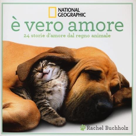 È vero amore! 24 storie d'amore dal regno animale. Ediz. illustrata - Rachel Buchholz - 3