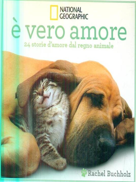 È vero amore! 24 storie d'amore dal regno animale. Ediz. illustrata - Rachel Buchholz - 2