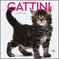 Gattini. Ediz. illustrata - Rita Mabel Schiavo - copertina