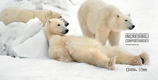 Incredibili comportamenti. Insolite storie del mondo animale. Ediz. a colori - Rosamund Kidman Cox - 2