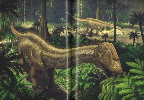 Tutto sui dinosauri. Ediz. a colori - Libro - White Star - National  Geographic Kids