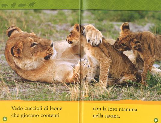 Nella savana. Primi passi. Ediz. illustrata - Gail Tuchman - 4