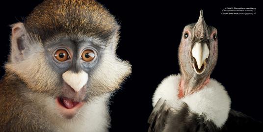 Photo Ark. Mini Edizione - Joel Sartore - 4