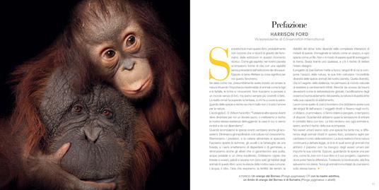 Photo Ark. Mini Edizione - Joel Sartore - 6