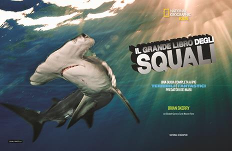 Il grande libro degli squali - Brian Skerry,Elizabeth Carney,Sarah Wassner Flynn - 2