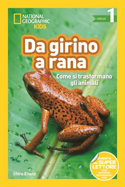 Da girino a rana. Come si trasformano gli animali. Livello 1. Diventa un super lettore. Ediz. illustrata - Shira Evans - copertina