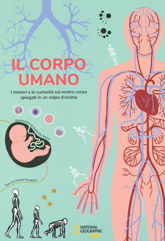 Il corpo umano. I misteri e le curiosità sul nostro corpo spiegati in un colpo d'occhio - Cristina Peraboni - copertina