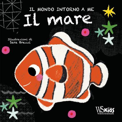 Il mare. Il mondo intorno a me. Ediz. a colori - Sara Brezzi - copertina