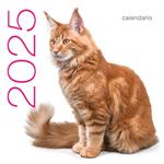 Gatti. Calendario da muro 2025