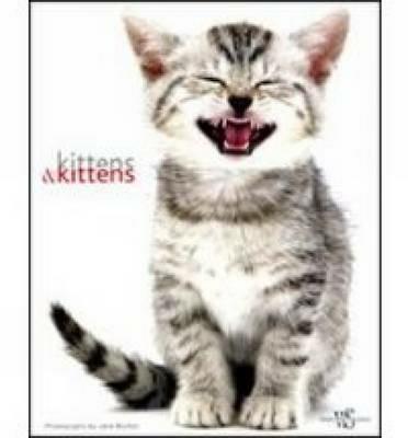 Kittens & kittens. Ediz. illustrata - Jane Burton - copertina