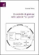 Primo controllo di gestione nelle aziende «no-profit»