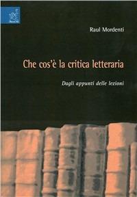 Che cos'è la critica letteraria. Dagli appunti delle lezioni - Raul Mordenti - copertina