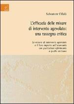 L' efficacia delle misure di intervento agevolato. Una rassegna critica