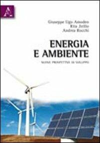 Energia e ambiente. Nuove prospettive di sviluppo - Giuseppe U. Amodeo,Rita Jirillo,Andrea Rocchi - copertina