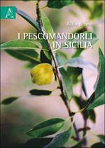 I pescomandorli in Sicilia