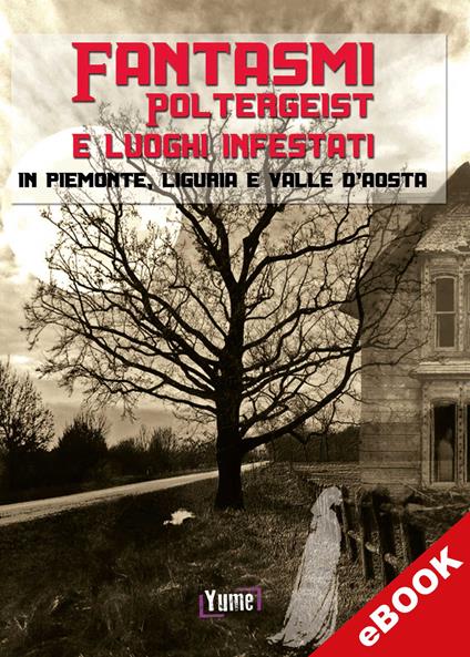 Fantasmi, Poltergeist e luoghi infestati - Amina Olivier - ebook