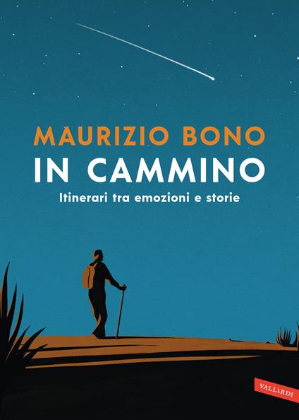 In cammino. Itinerari tra emozioni e storie - Maurizio Bono - copertina