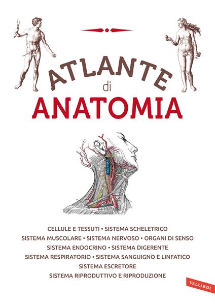 Atlante di anatomia - copertina