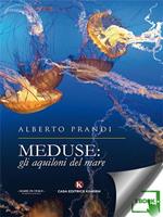 Meduse: gli aquiloni del mare