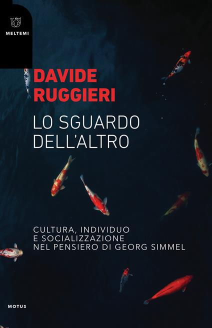 Lo sguardo dell'altro. Cultura, individuo e socializzazione nel pensiero di Georg Simmel - Davide Ruggieri - copertina