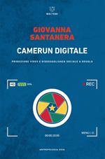 Camerun digitale. Produzione video e disuguaglianza sociale a Douala
