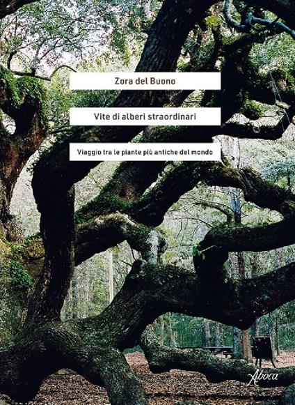 Vite di alberi straordinari. Viaggio tra le piante più antiche del mondo - Zora Del Buono - copertina