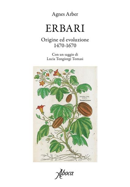 Erbari. Origine ed evoluzione 1470-1670 - Agnes Arber,Azzurra De Angelis - ebook