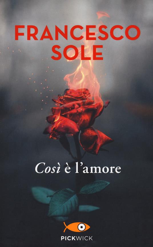 Così è l'amore - Francesco Sole - copertina