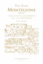 Monteleone. Una città calabrese in età moderna. Ricerche e documenti. Vol. 1