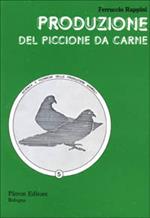 Produzione del piccione da carne