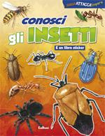 Conosci gli insetti