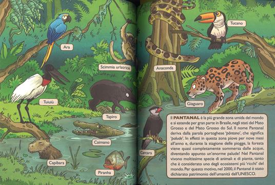 Sono un topo avventuroso. Ediz. a colori - Geronimo Stilton - 3