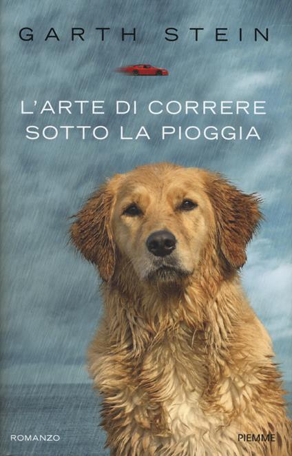 L' arte di correre sotto la pioggia - Garth Stein - copertina