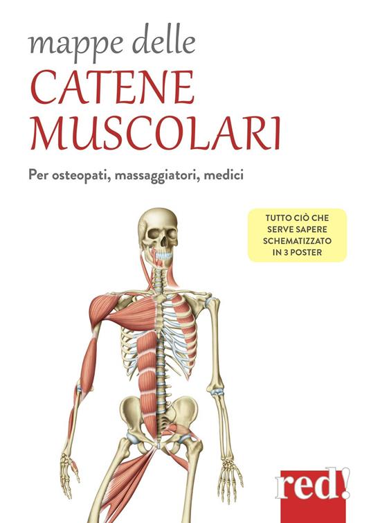 Mappe delle catene muscolari. Per osteopati, massaggiatori, medici - copertina