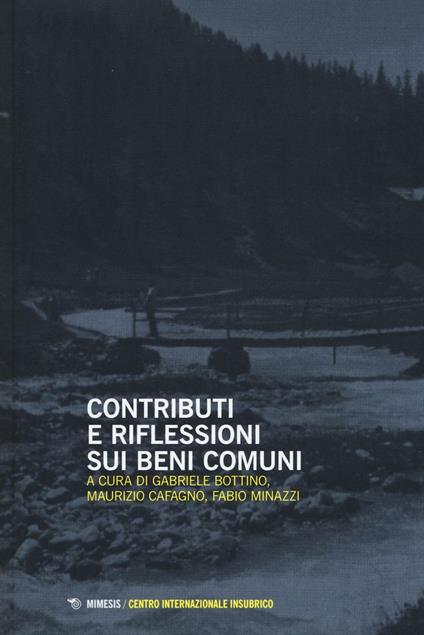 Contributi e riflessioni sui beni comuni - copertina