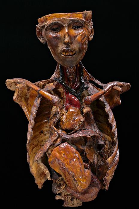 Sua maestà anatomica. Museo Morgagni di Padova. Ediz. italiana e inglese - Ivan Cenzi,Carlo Vannini - 6