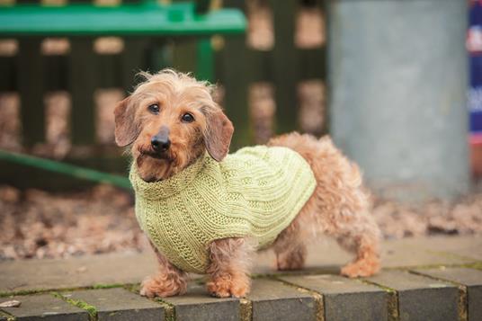 Cappottini per cani. 15 pratici progetti a maglia - Debbie Humphreys - 3