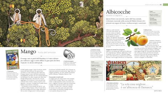 Cibo. La storia illustrata di tutto ciò che mangiamo. Ediz. a colori - 5