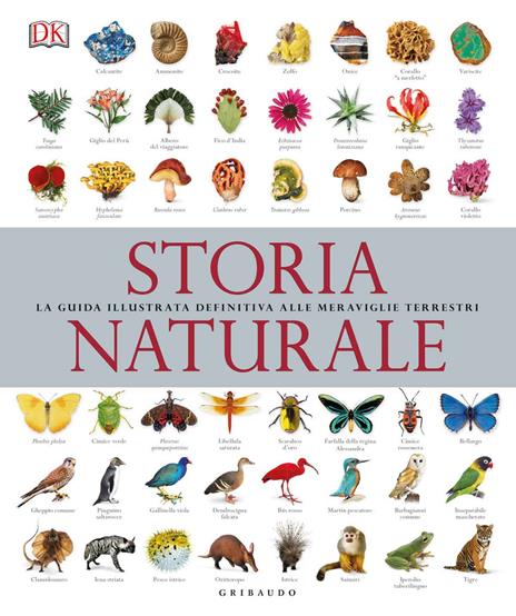 Storia naturale. La guida illustrata definitiva alle meraviglie terrestri - copertina