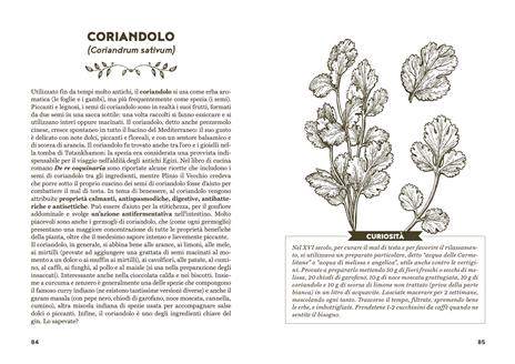 In salute con semi e germogli. Dall'aneto alla zucca, tisane, ricette e consigli per il benessere quotidiano - Simona Recanatini - 6