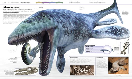 Cerca e Trova Dinosauri Gigante Bambini 3-6 anni: Libro Educativo