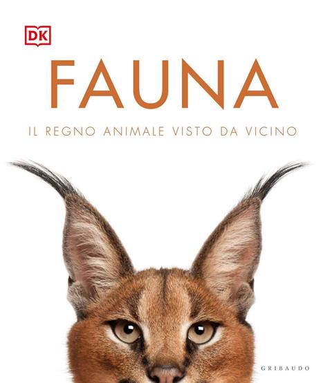 Fauna. Il regno animale visto da vicino. Ediz. illustrata - copertina