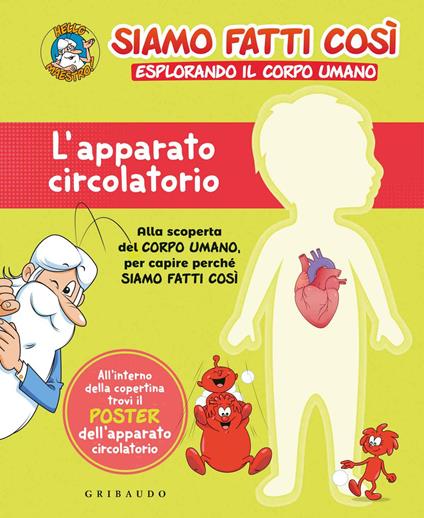 Poster anatomia del cuore umano -  Italia