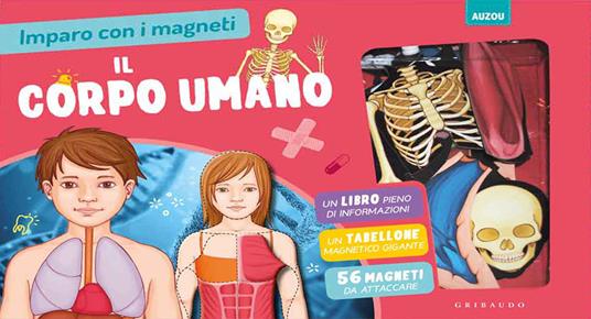 Magneti, libri magnetici e giochi magnetici